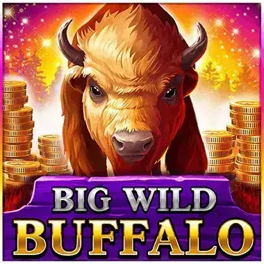 Play Big Wild Buffalo Winmate88 casino